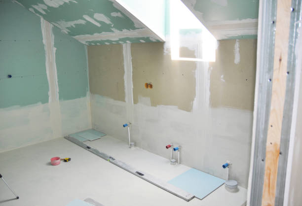Best Mold Remediation for Healthcare Facilities  in Montpelier, ID