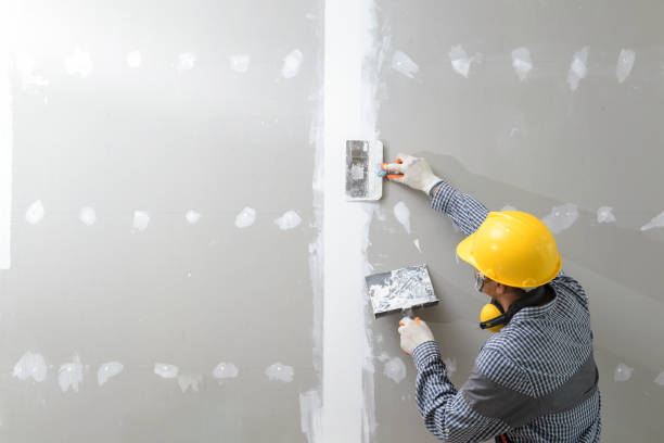 Best Black Mold Removal  in Montpelier, ID