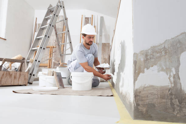 Best Emergency Mold Remediation  in Montpelier, ID