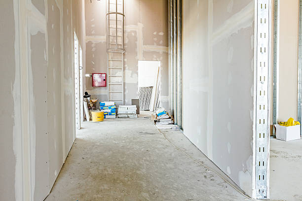 Best Mold Damage Restoration  in Montpelier, ID